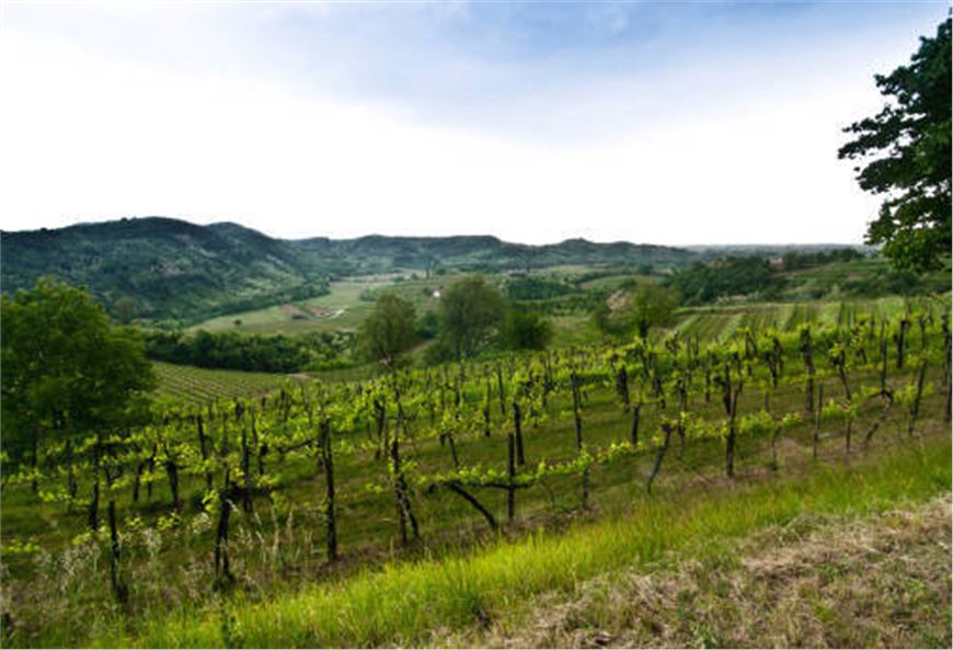 47esima  edizione di Vinitaly .....Vinitaly.....Vinitaly!  – a Verona dal 7 al 10 Aprile 2013