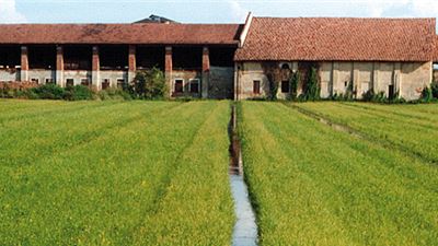 Agricoltura Milano Festival – 1 edizione