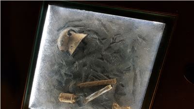 Can the United States Afford to Go Down the Socialist Path?