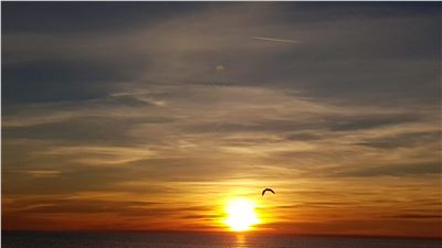 Come avere una famiglia felice?