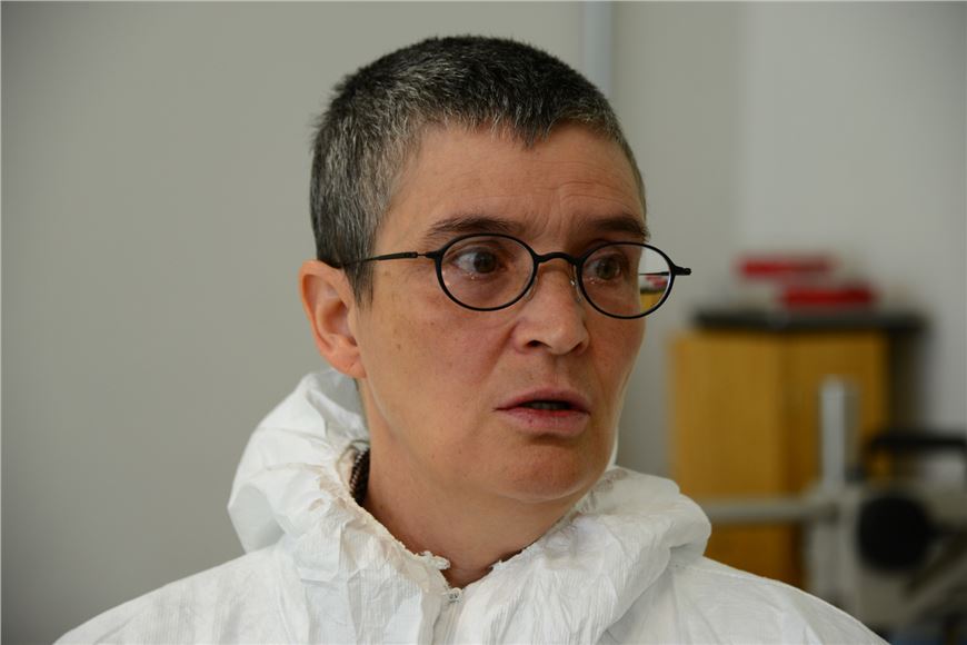 De las Culturas de Occidente  RECONSTRUIRÁN ROSTRO DE INDIVIDUO QUE VIVIÓ HACE 700 AÑOS