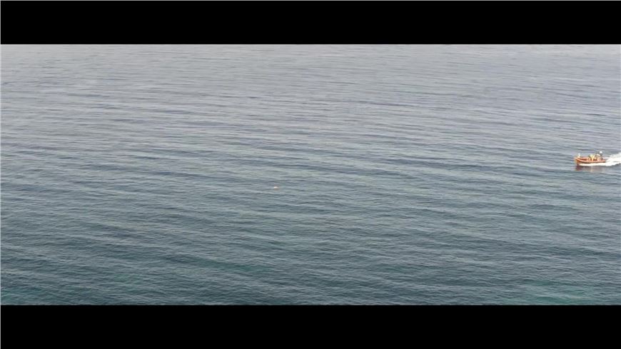 Eighth Continent is a short film by Yorgos Zois - special screening in section Orizzonti.