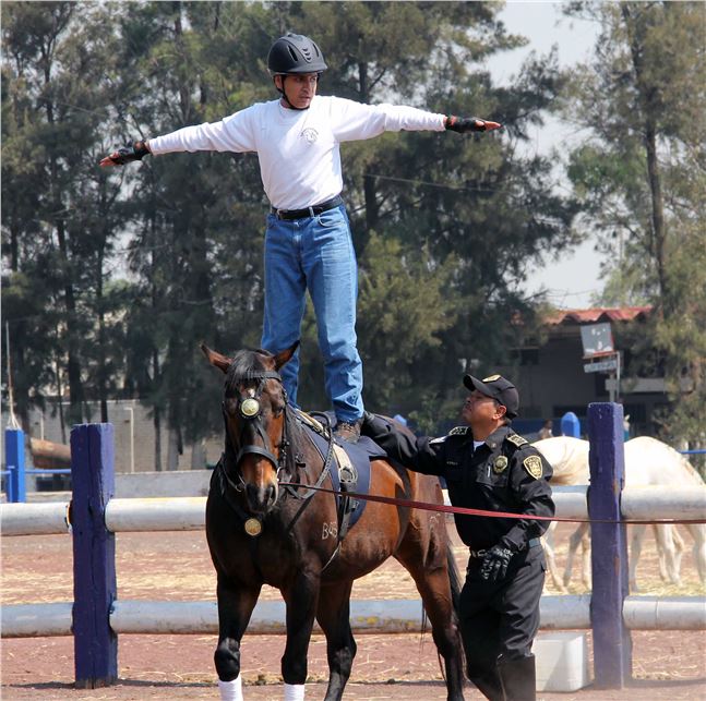 El Jefe de Gobierno del Distrito Federal, Dr. Miguel Ángel Mancera, asistió a la firma de convenio marco de colaboración para la Apertura del Primer Centro de Rehabilitación de Equinoterapia 