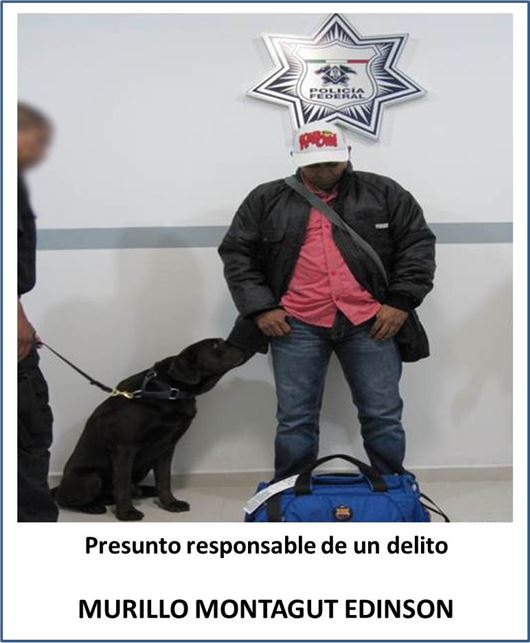 EN AEROPUERTOS DE LA CIUDAD DE MÉXICO Y QUINTANA ROO DETIENE POLICÍA FEDERAL A DOS SUJETOS QUE PORTABAN COCAÍNA