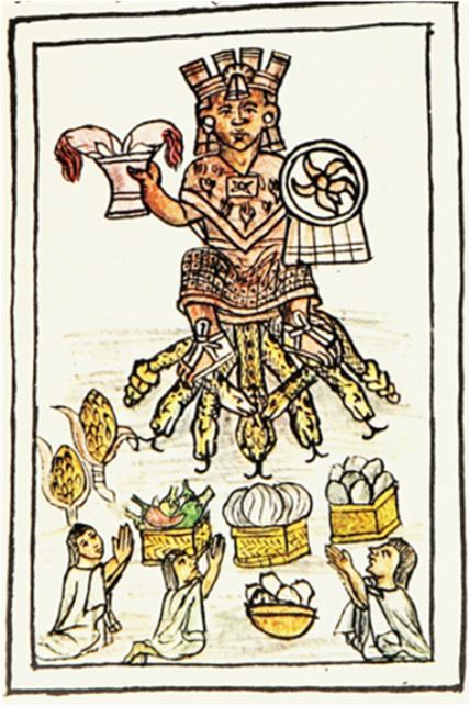 En Templo Mayor  “DISECCIONAN” PARTE DEL CÓDICE FLORENTINO DEDICADA A FLORA Y FAUNA 