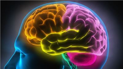 How important is faith on the brain?