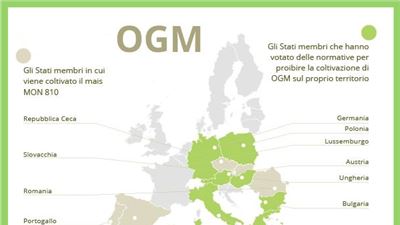 In Italia  è vietato coltivare Ogm.