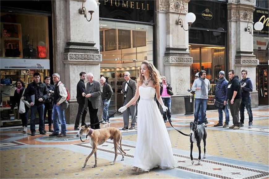 Incontri inusuali in Galleria Vittorio Emanuele a Milano