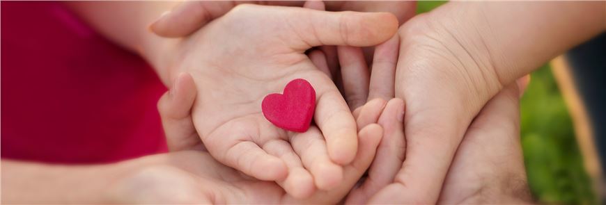 Joe DiMaggio Children's Hospital Foundation … More Lives Begin Here... More Lives Saved Here. 