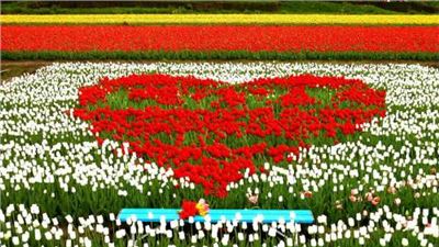 Le printemps est  disparu ..... vous avez vu quelque part?  