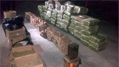 LOCALIZA POLICÍA FEDERAL MÁS DE MEDIA TONELADA DE MARIHUANA EN UNA BODEGA EN TAMAULIPAS