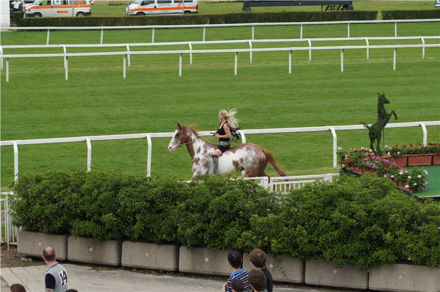 Milano Horse Show 2012 -  Barbara Carminati in arte "Zebrablond"