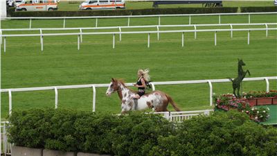 Milano Horse Show 2012 -  Barbara Carminati in arte "Zebrablond"