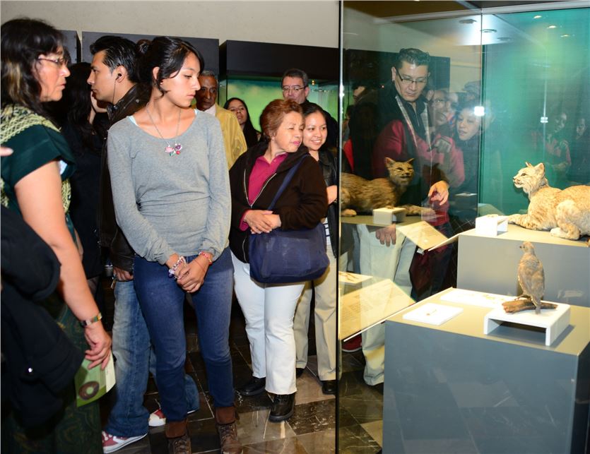 Museo del Templo Mayor    ENRIQUECE PANORAMA SOBRE MODO DE VIDA DE LOS MEXICAS