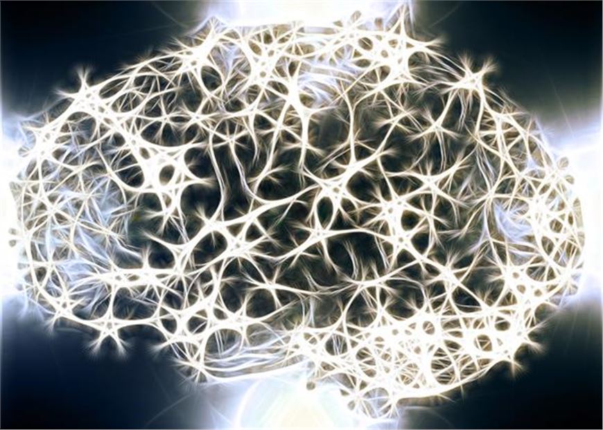 Non dimentichiamoci il cervello: legame tra mente e malattia