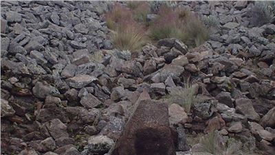 REGISTRAN PETROGRABADOS HALLADOS EN MONTE TLÁLOC