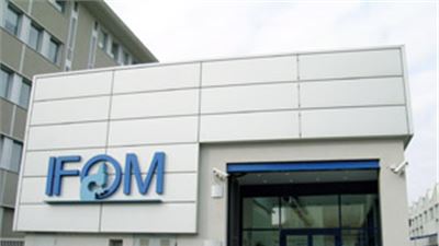 Scoperto un gene che aiuta  a combattere l’ictus emorragico