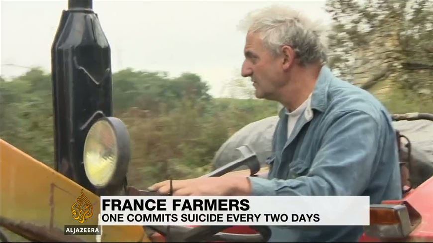 Suicide risk rife among France's farmers