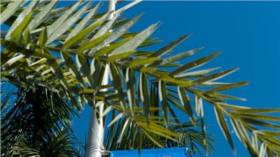 The 11th Edition of Art Basel is about to begin!