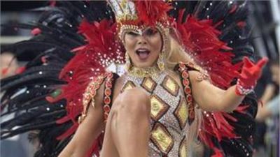 The 2014 Rio de Janeiro Carnival 