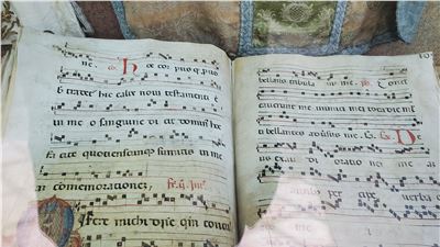 The Crucial Role of Culture in Society