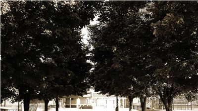 The Difference Between a Success Coach and Counselor 