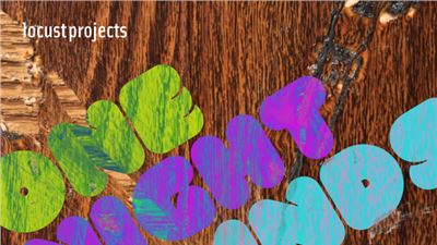 The Locust Projects, a not-for-profit exhibition space, is  celebrating its 15 years! 