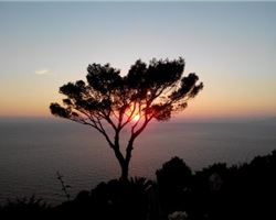 When Power Starts Listening: Signals From the New Renaissance