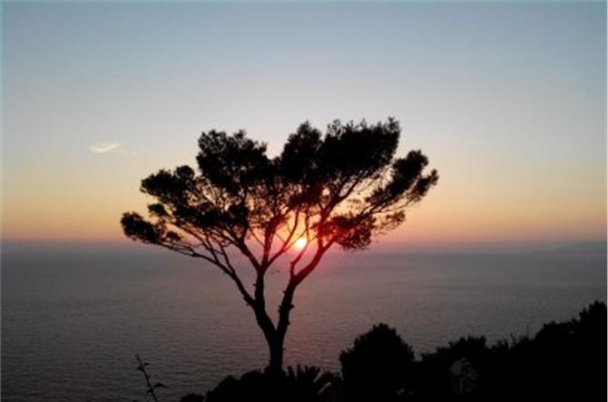 When Power Starts Listening: Signals From the New Renaissance