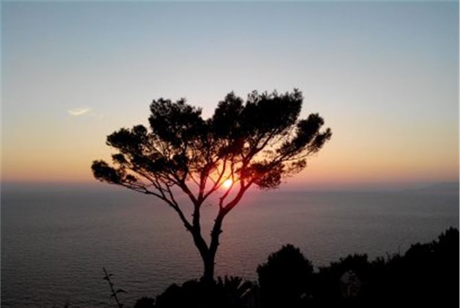 When Power Starts Listening: Signals From the New Renaissance