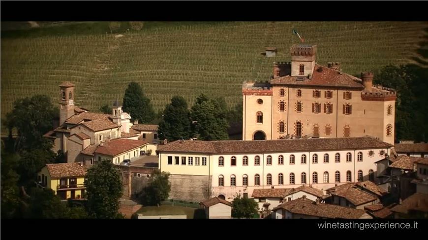 Wine Tasting Experience® - video interviste ai partecipanti