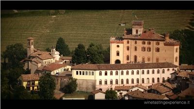 Wine Tasting Experience® - video interviste ai partecipanti